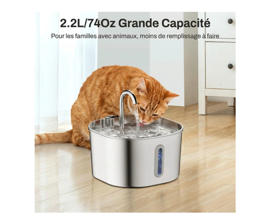 Fontaine à eau en acier inoxydable